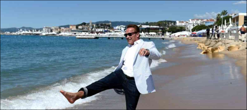 'Stone Age' Trump going back to horse and cart says Schwarzenegger