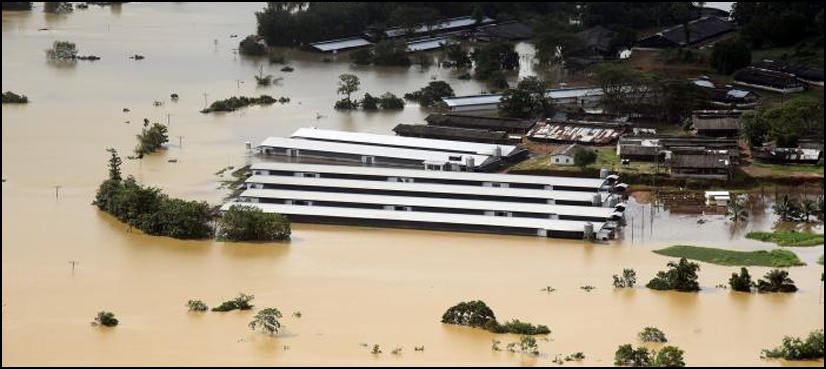 Cyclone wreaks havoc in Bangladesh refugee camps for Rohingyas