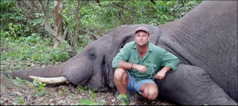 South African hunter crushed to death by a shot-down elephant