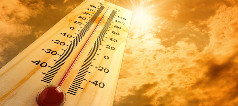 Heatwave claims four lives in Hyderabad