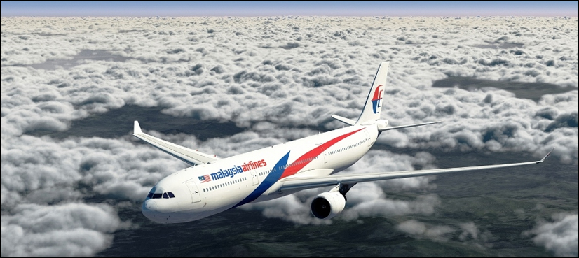 Malaysia Airlines flight forced to land over bomb scare: official