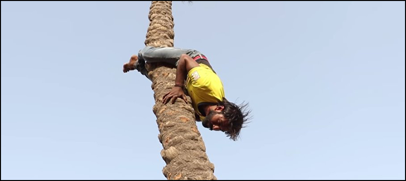 WATCH: The man who climbs the tree upside down