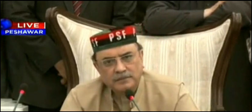 Zardari vows to expand party election campaign countrywide