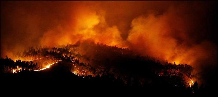 Fires raging at different places in Diamer mountain forests