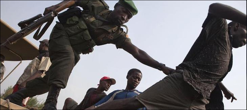 Five Congo rangers killed in joint army operation to rescue US journalist