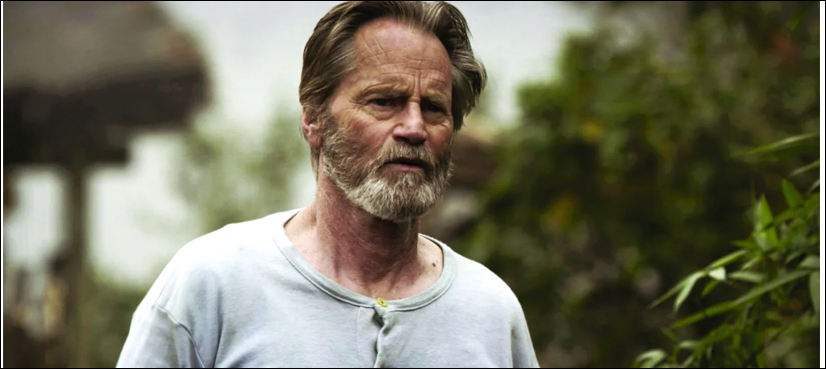 US actor, playwright Sam Shepard dead at 73