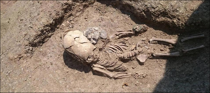Skeleton of 'alien boy' recovered from ancient grave