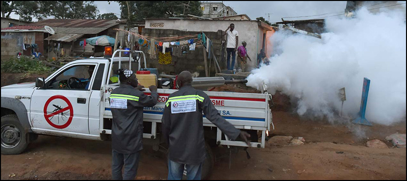 Dengue wreaks havoc as cases rise in Islamabad, Rawalpindi and Karachi