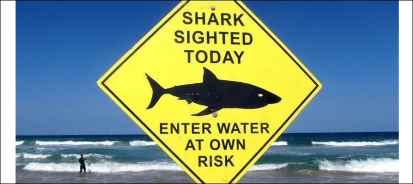 Shark-detecting drones to patrol Australian beaches