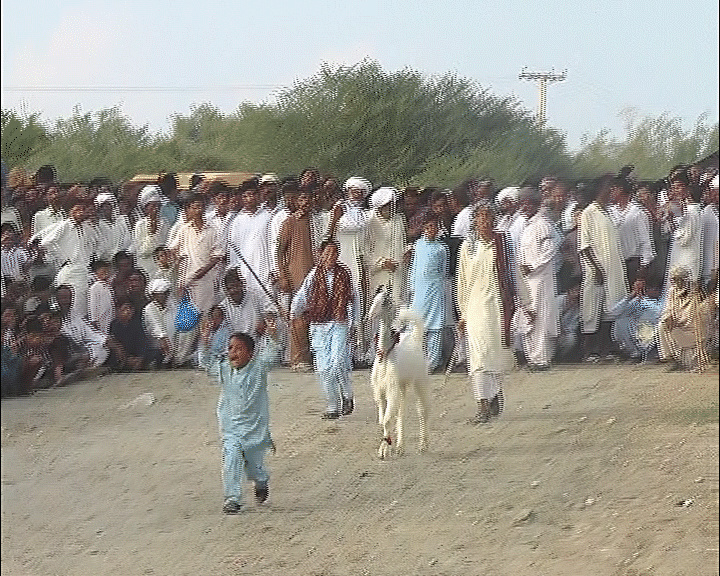 An event which like no other takes place in Chakwal, Punjab every year