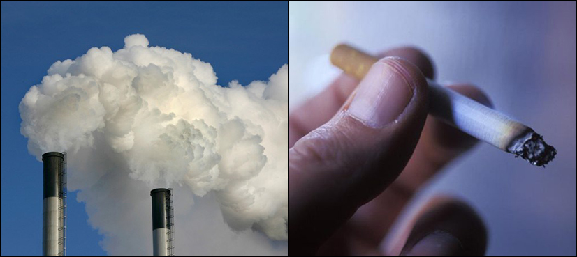 Two lung diseases killed 3.6 million in 2015: study