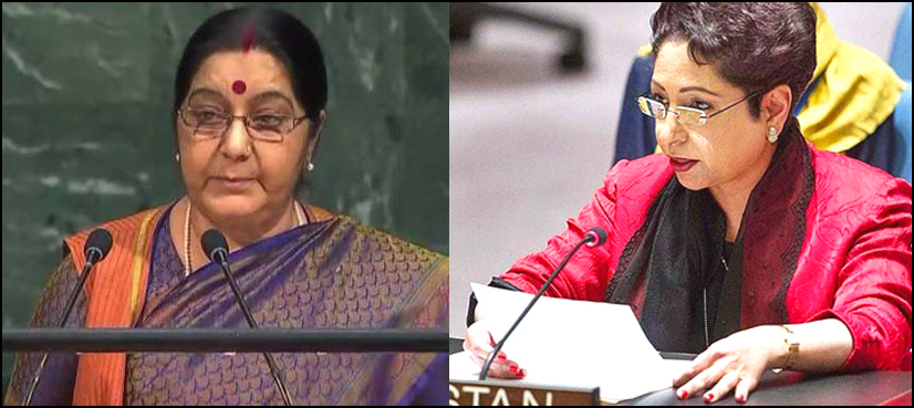 India is mother of terrorism in South Asia, Lodhi hits back at Sushma Swaraj