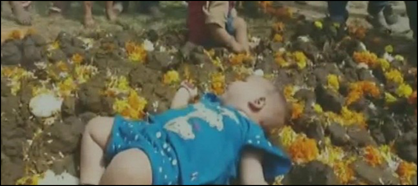 VIDEO: Indian parents throw kids into cow dung for ‘good luck’