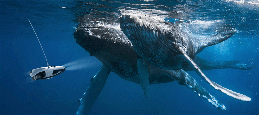 This underwater drone will revolutionise the way you fish!