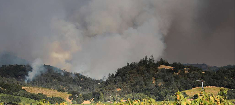 Wildfire in Azad Kashmir's Kotli engulfs National Park
