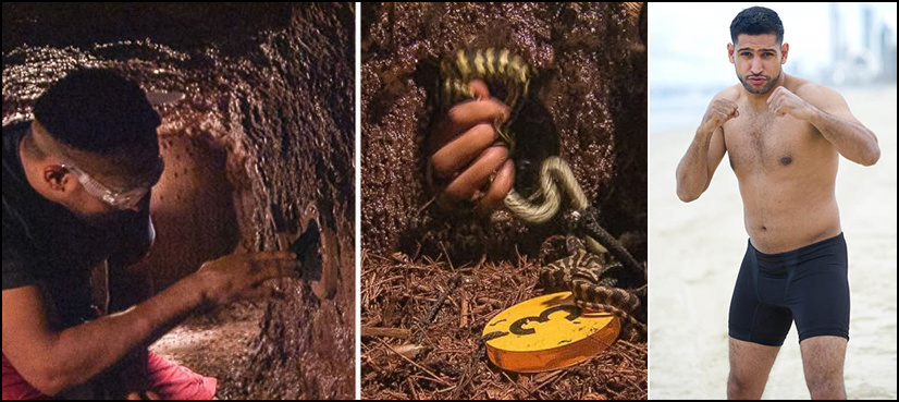 Boxer Amir Khan gets scared, screams after mistakenly grabbing snakes at a reality TV show