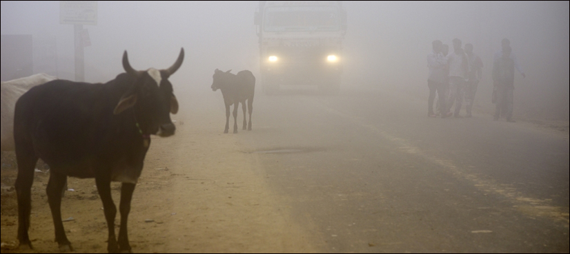 Delhi smog shortening lives, say doctors as hospitals fill up