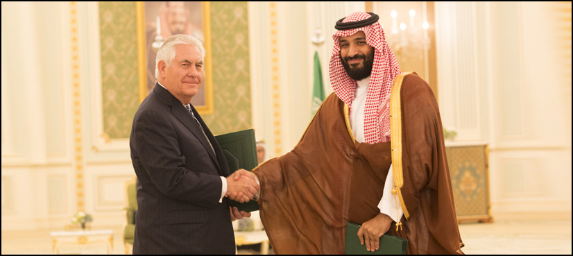 Saudi graft purge 'raises a few concerns' for US ally