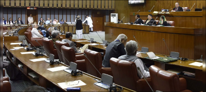 Senate passes Constitution (Amendment) Bill 2017 for fresh delimitation