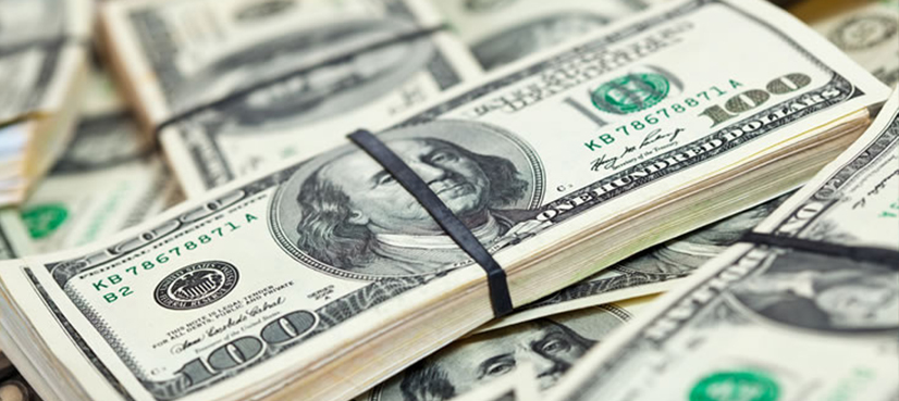 US dollar concedes some gain after climbing to Rs110 in interbank market