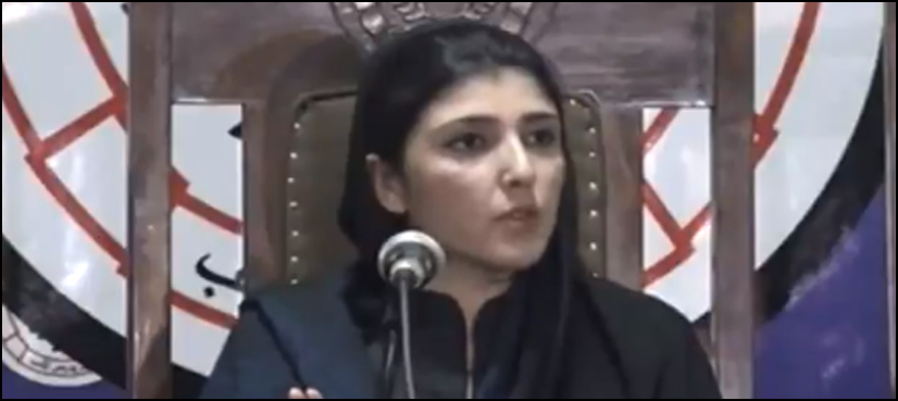 Sharif, Zardari, Imran lack capacity to lead country, says Gulalai
