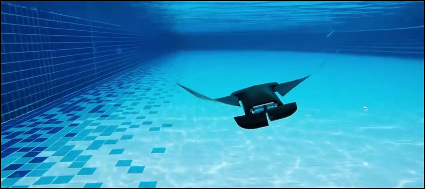 MantaDroid: Aquatic robot swims like the manta ray fish