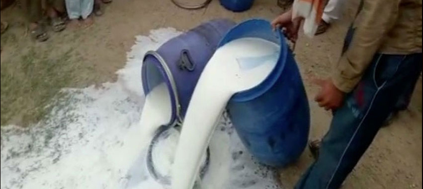 PFA launches crackdown against milk adulteration, discards 15,833 litres of adulterated milk