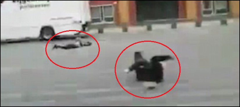 WATCH: Strong winds literally blow people away in Netherlands