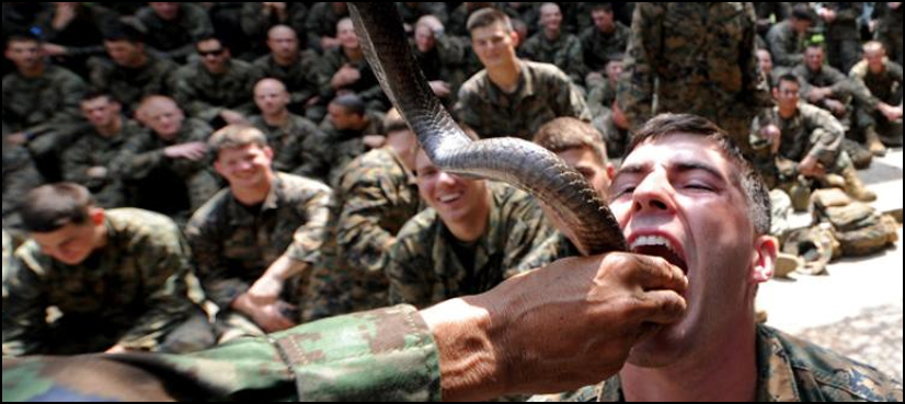 In Pictures: US soldiers drink cobra blood, eat scorpions