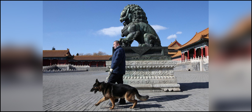 In Beijing's Forbidden City, no holiday for patrolling dogs