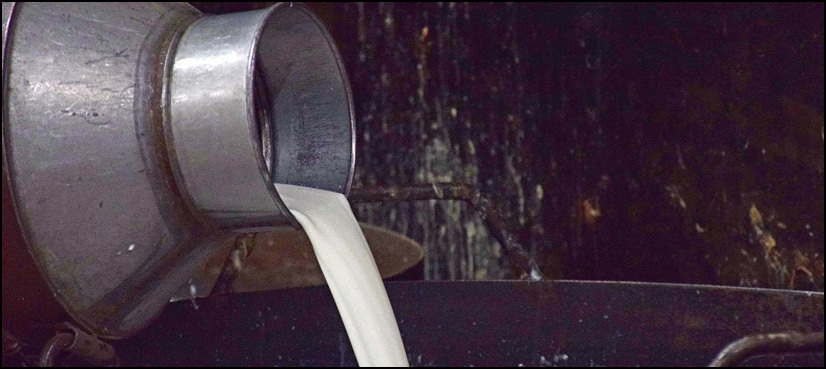 Prices of dairy products witness sharp rise in Karachi