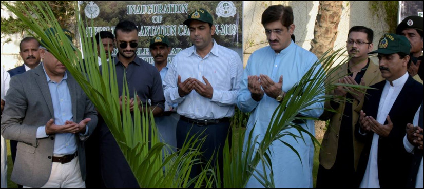 CM Sindh inaugurates spring tree plantation campaign