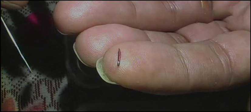 Man creates ‘world’s smallest pencil’, sets record