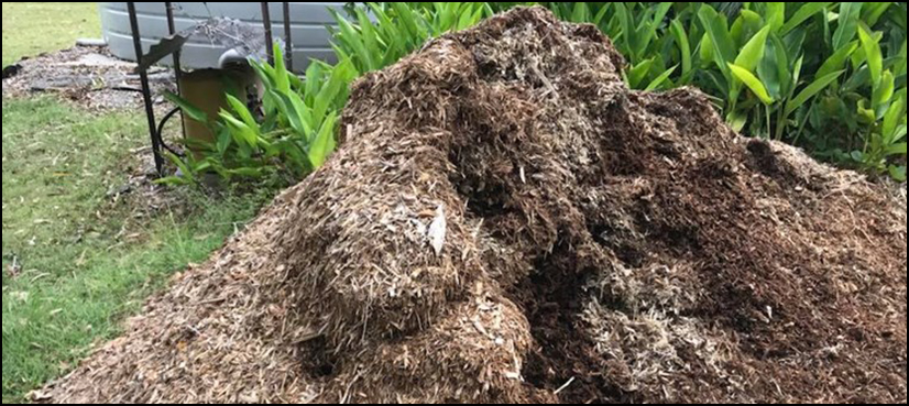 Can you spot snake in this viral picture?