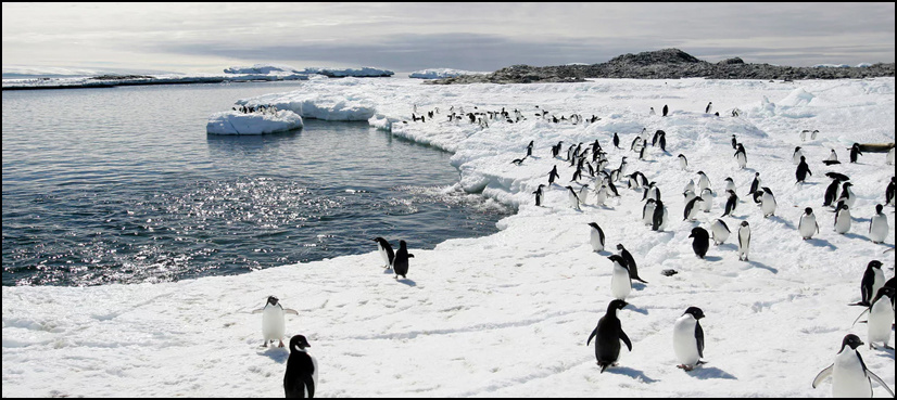 Antarctica: a laboratory for climate change