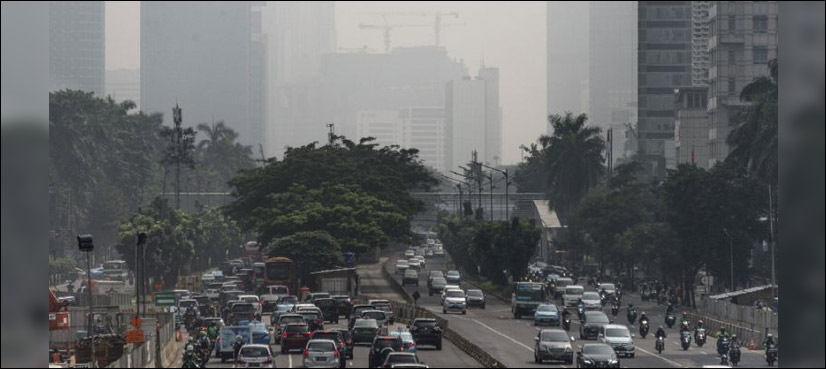 Land decay to displace tens of millions, global survey warns