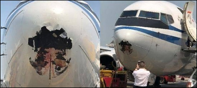 Chinese aircraft left with gaping hole after surviving bird attack