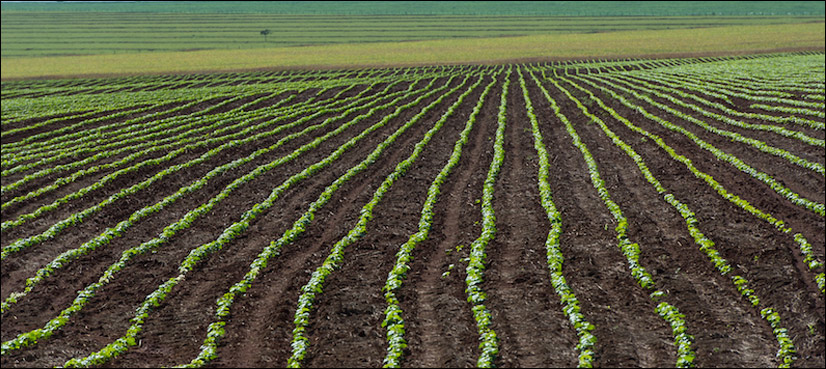 Humanity imperiled by abuse of life-giving Nature: reports