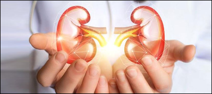 New kidney problems linked to 'long COVID'