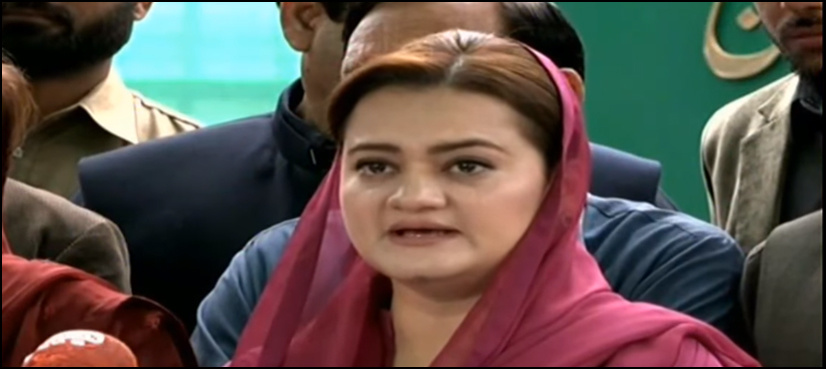 Zardari, Imran are the kings of horse trading: Marriyum Aurangzeb