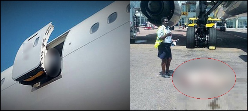 Female crew member dies after fall from plane