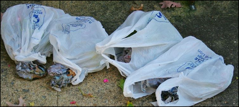 KP govt imposes ban on use of polythene bags, violators to face fine: Yousufzai