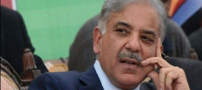 ECP issues notification of Shehbaz Sharif as new PML-N president