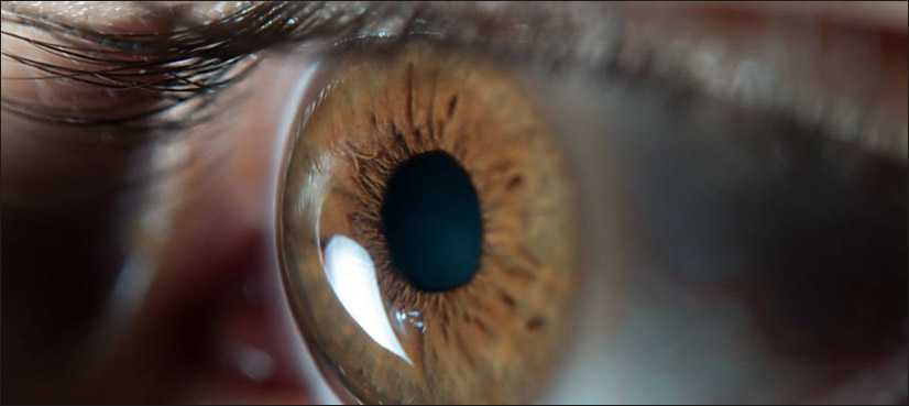 Stem cell eye treatment safe, restores some vision: study