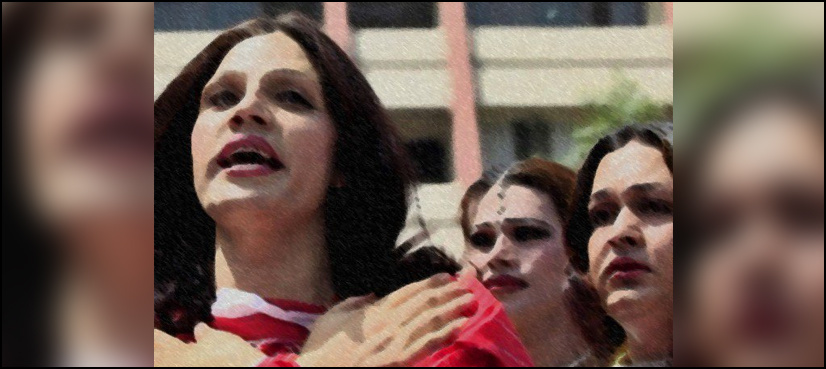 SHC seeks ECP's reply on transgender people's plea for contesting polls