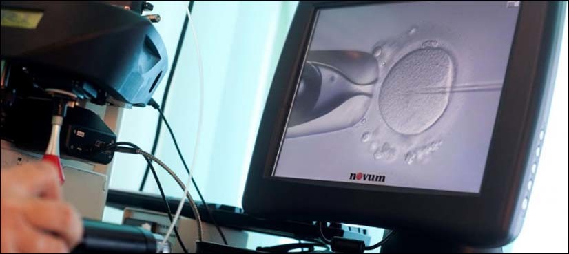 How infertility treatment has left sperm science behind