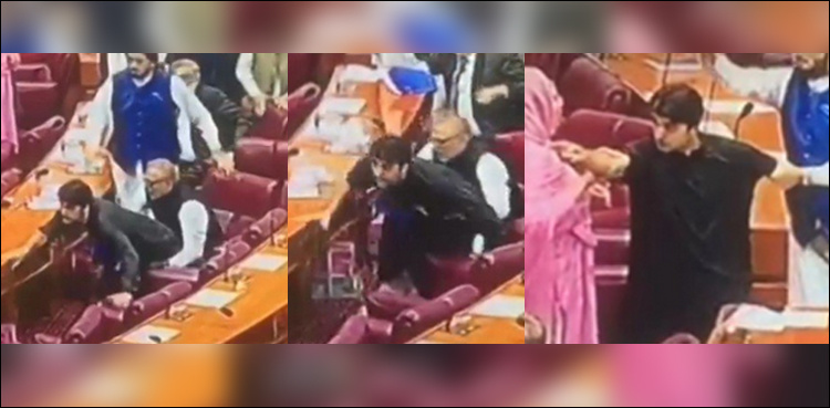 WATCH: Murad Saeed says he was verbally abused during budget session