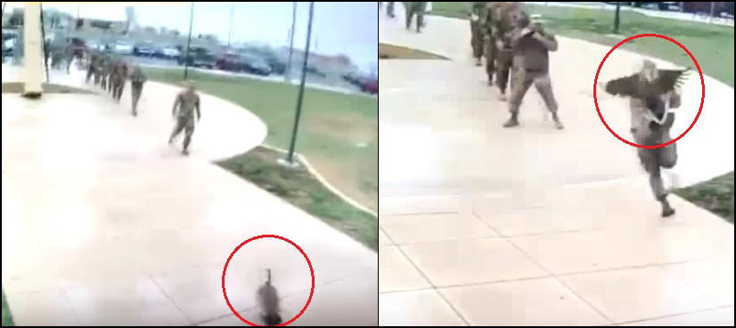 US soldiers run away from attacking goose, video goes viral