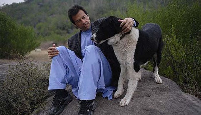 Dead or kicked out? Imran tells media about his pet dog Sheru
