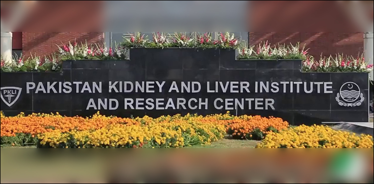 CJP takes notice of 'excessive salaries' of PKLI employees